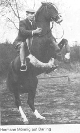 Herr M&ouml;nnig auf Darling