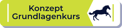 Konzept Grundlagenkurse